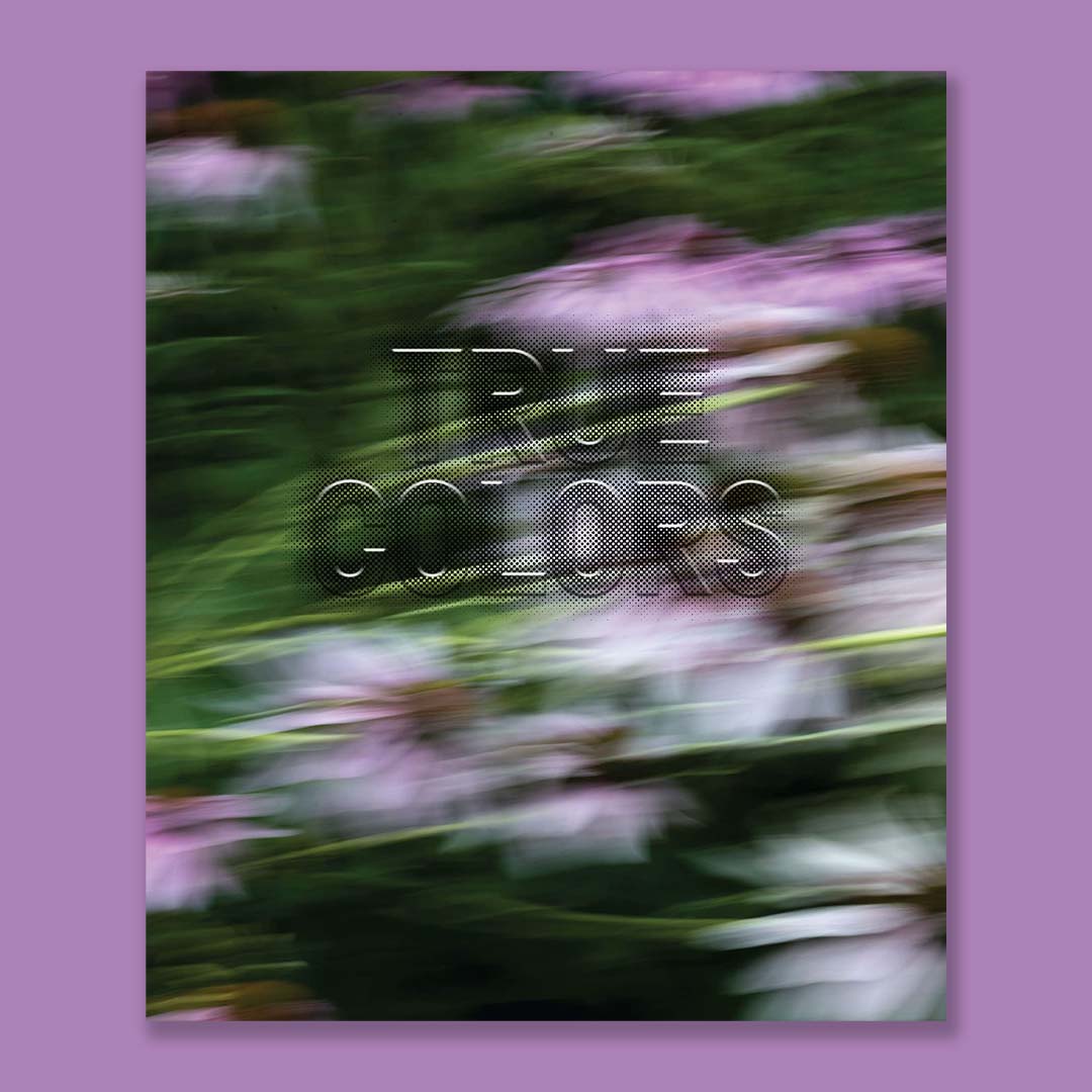 Zora J Murff True Colors (or, Affirmations in a Crisis) /anglais