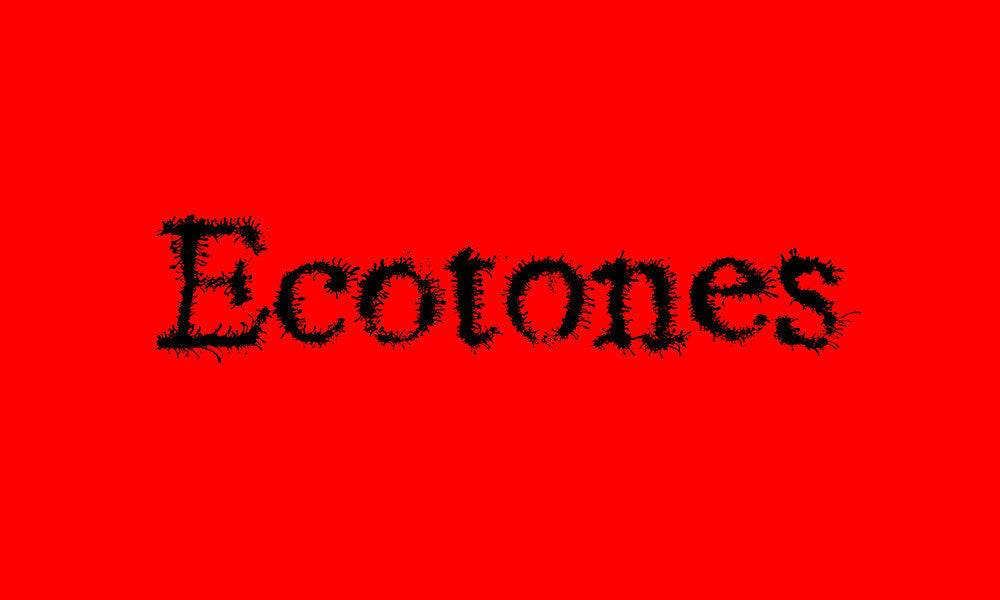 EXPOSITION : Ecotones: Investigating Sounds and Territories