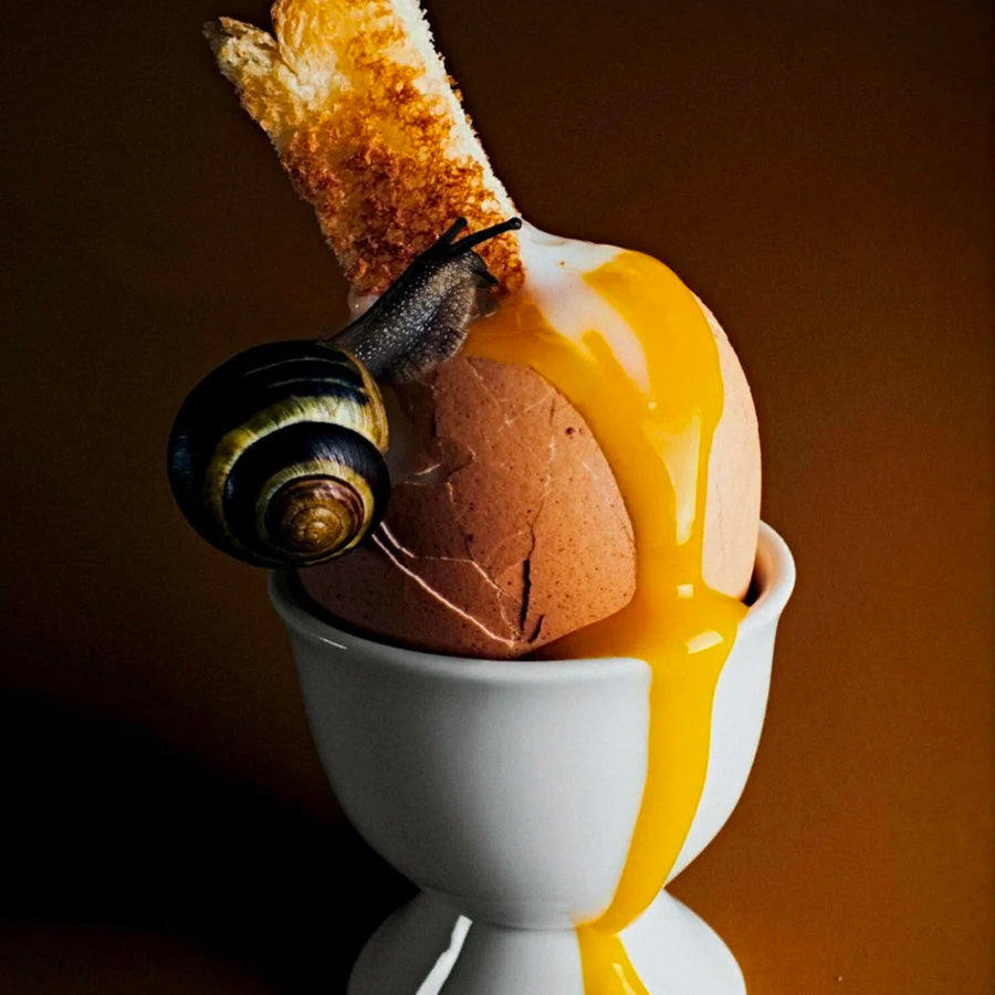 Cuisine