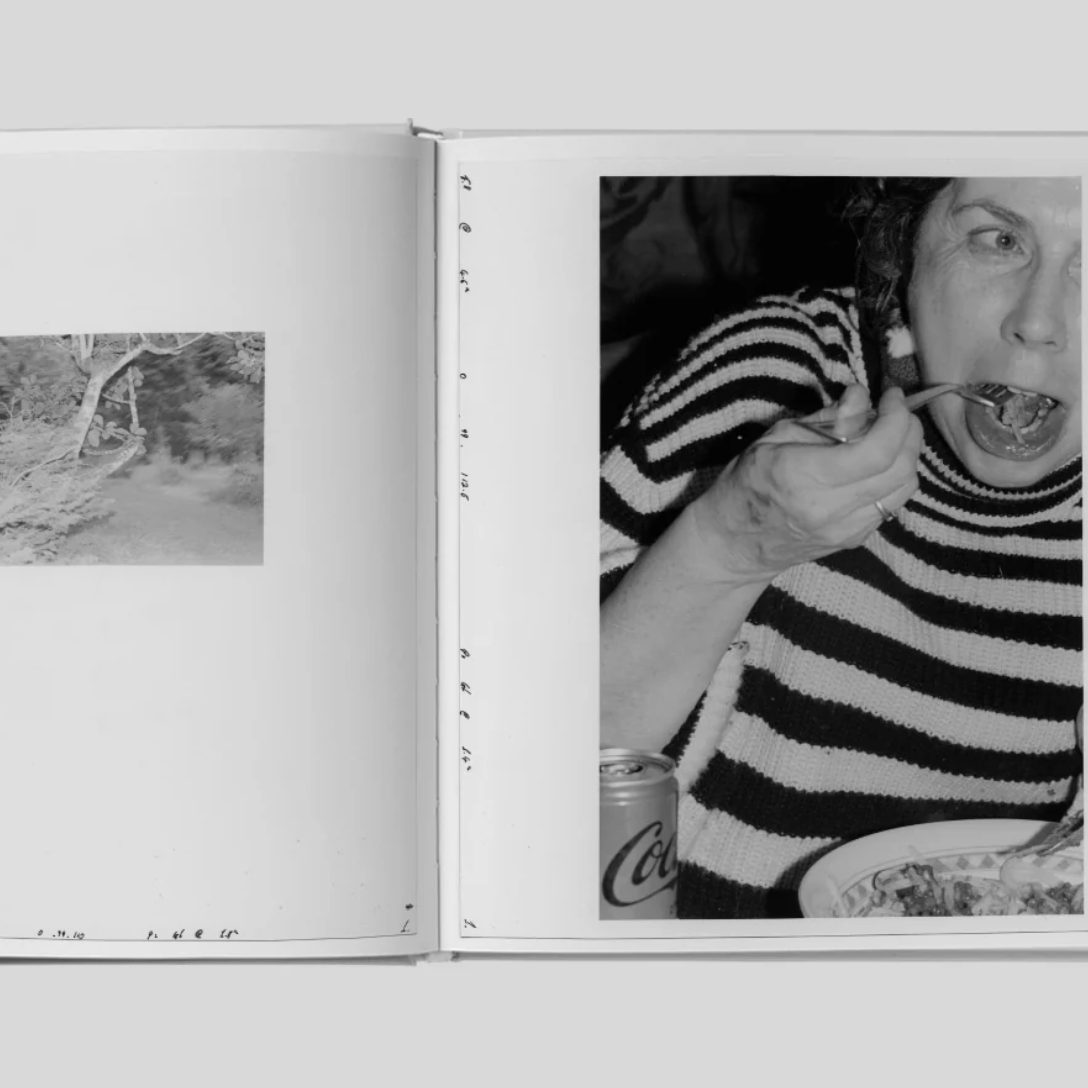 Deutsches in Deutschland Eoin Moylan