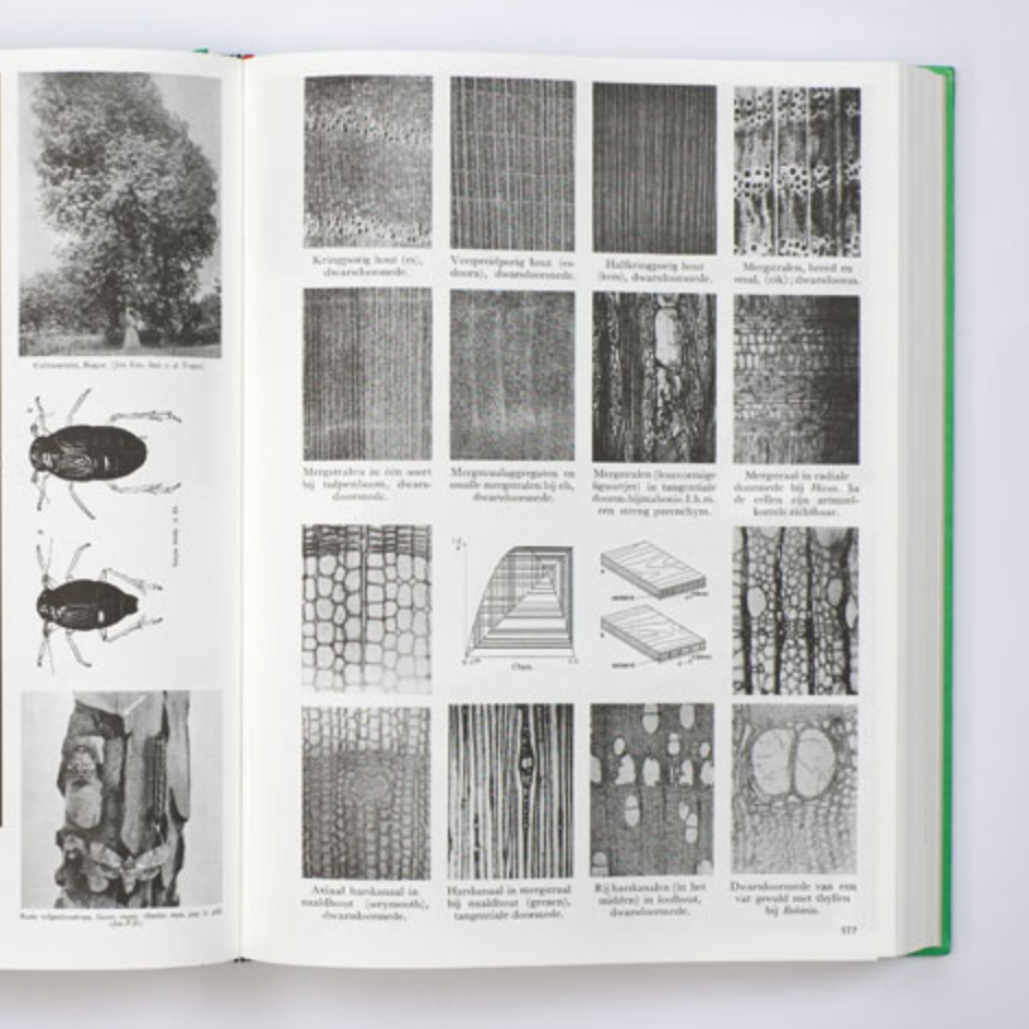 Parallel encyclopedia 2 revised edition
