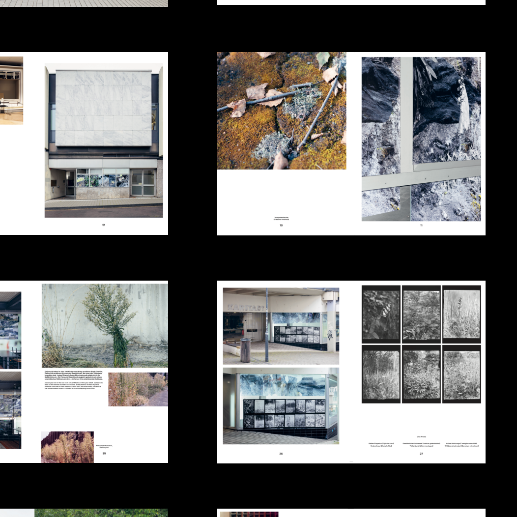 Hey Monte Schlacko, Dear Schlagorg