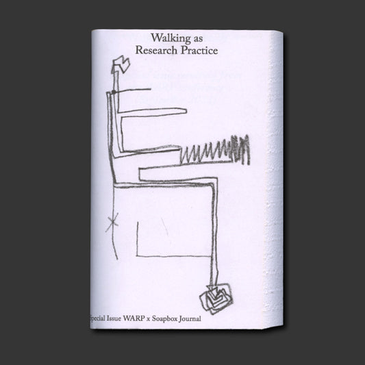 Walking as research practice