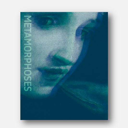 Metamorphoses : Ovid s Art