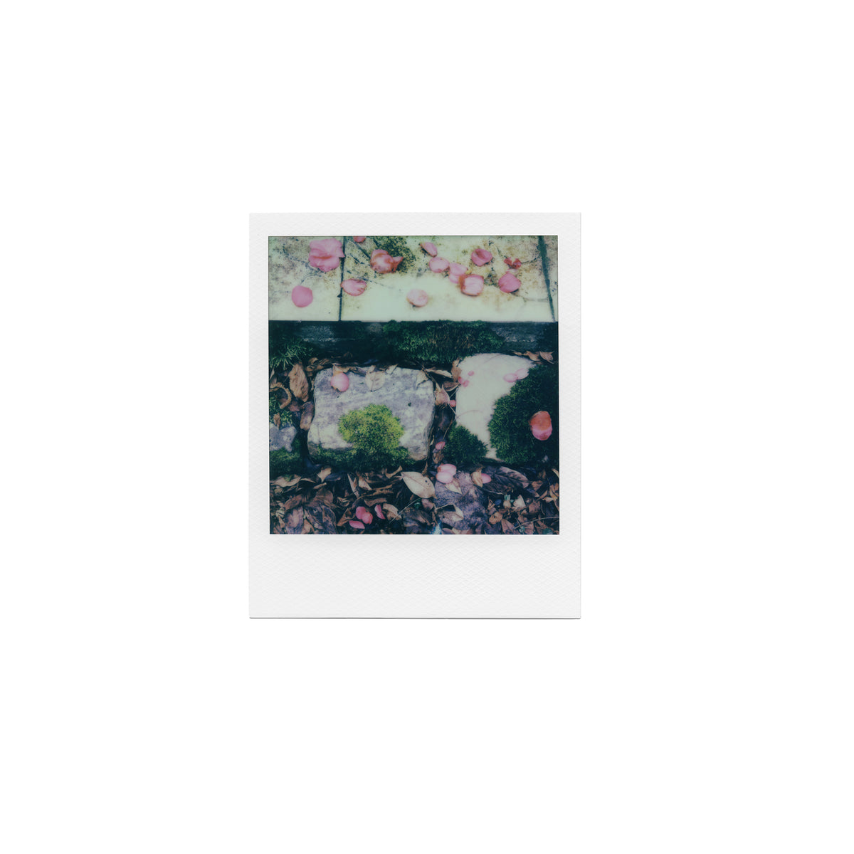 À la fin des hivers / Reviennent les printemps  