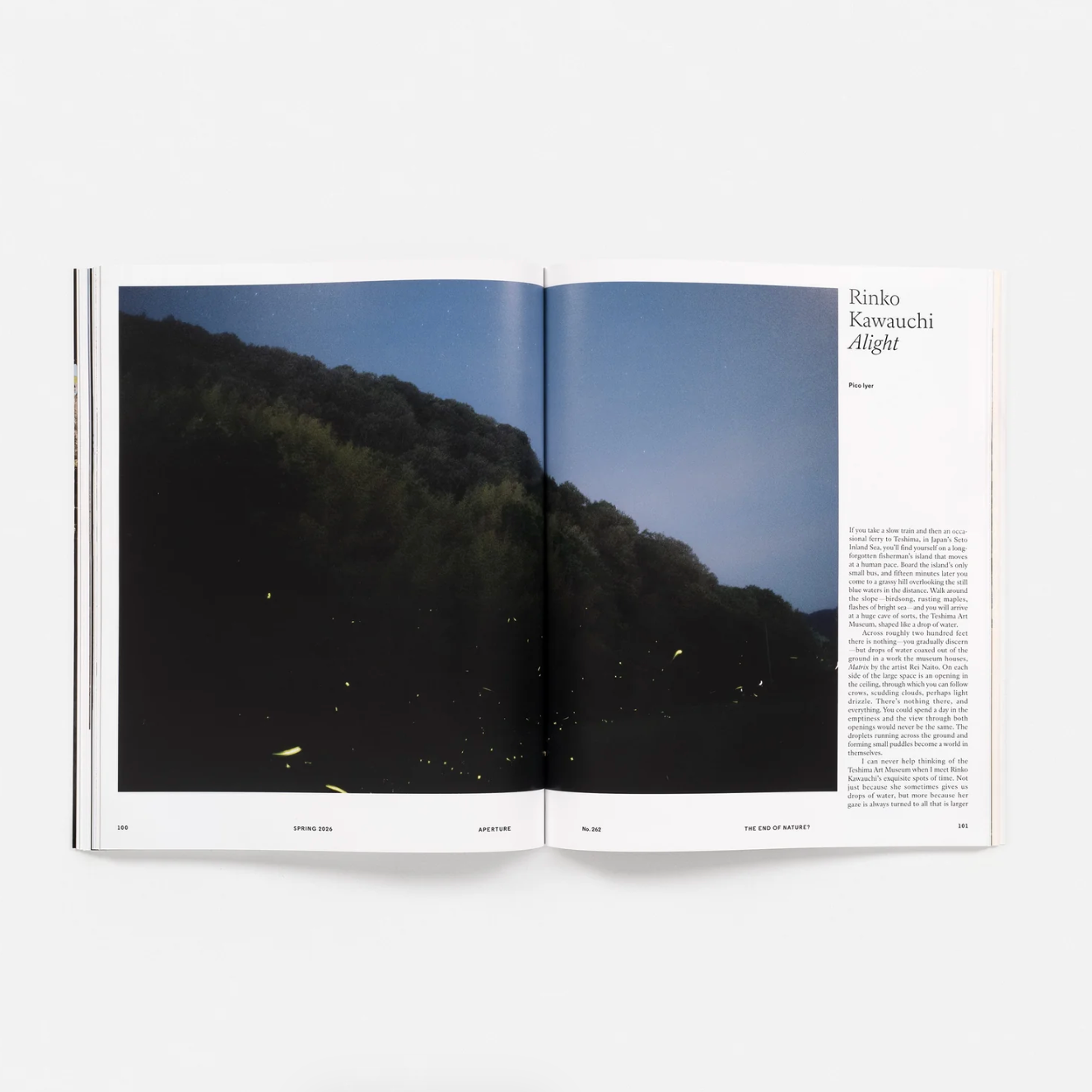 Magazine Aperture 262 : Environment