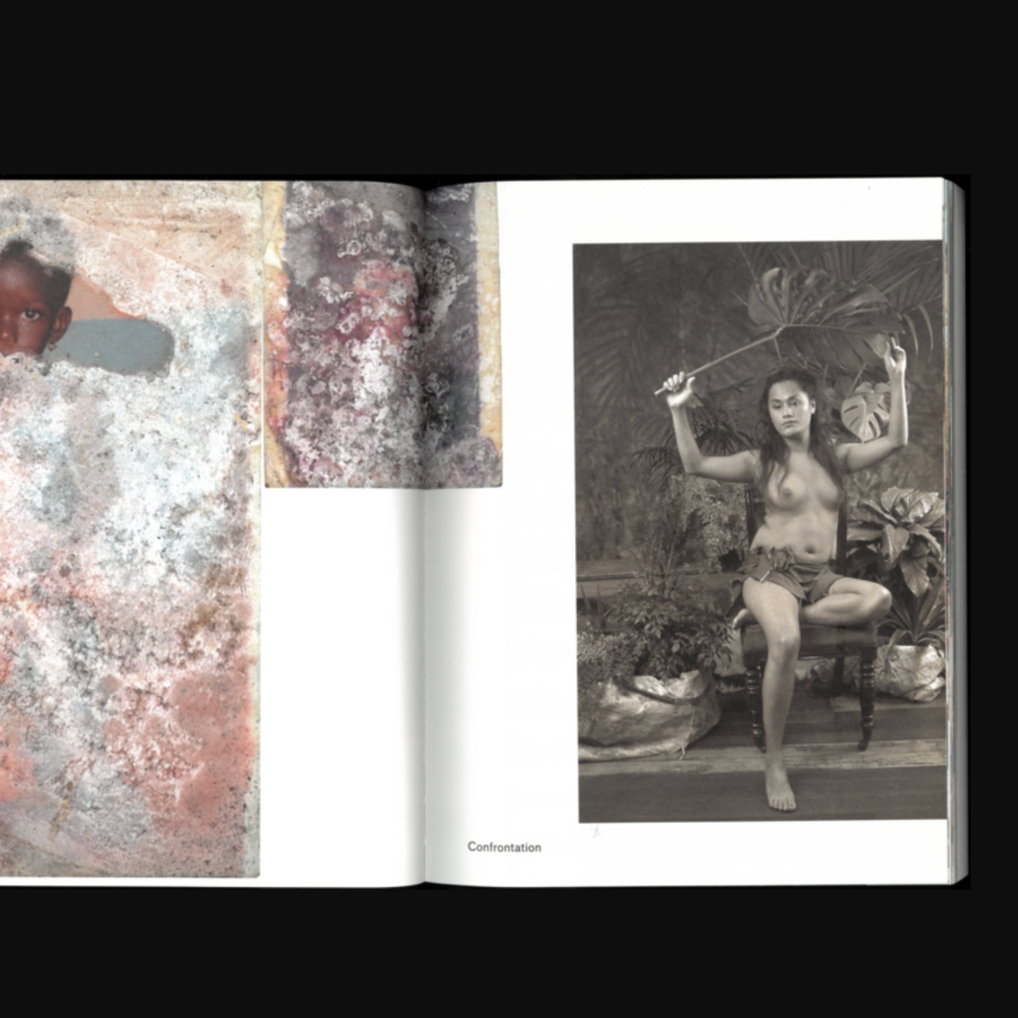 A Kind of Paradise : Artistic Counter-Narratives to Colonial-Era Photography