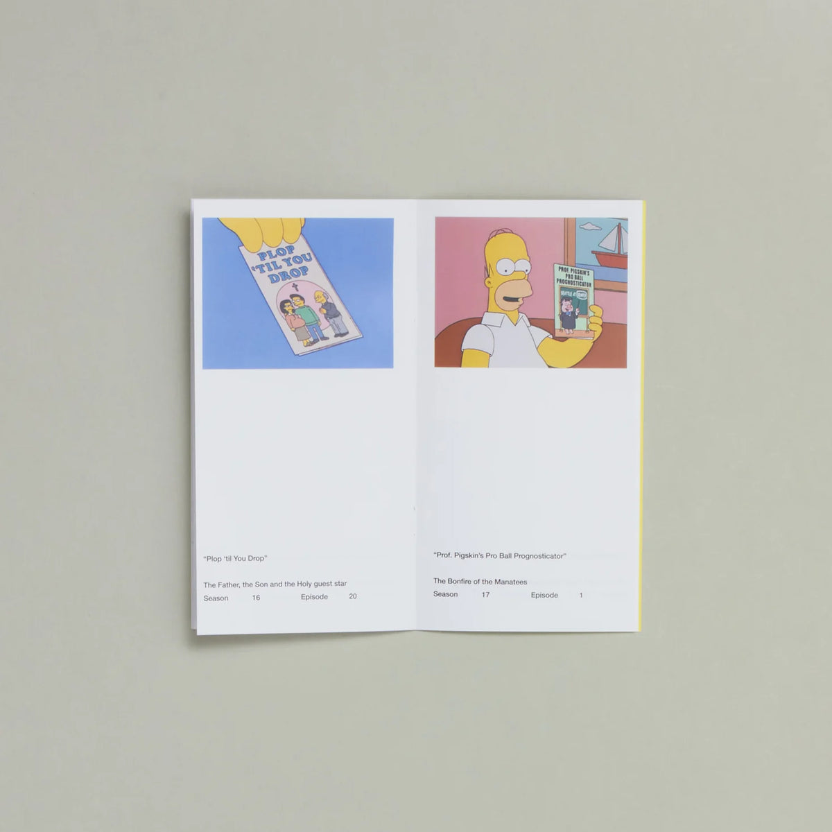 So You've Purchased A Simpsons Pamphlet Zine