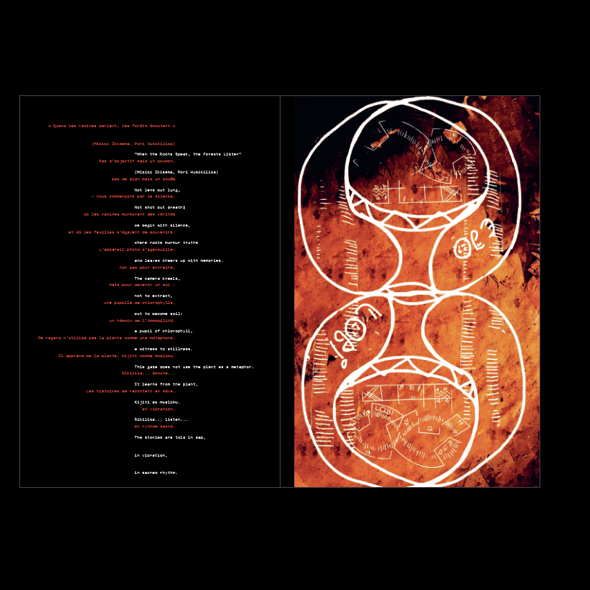 Strata : Ethnographies Indociles de Mondes Troublés