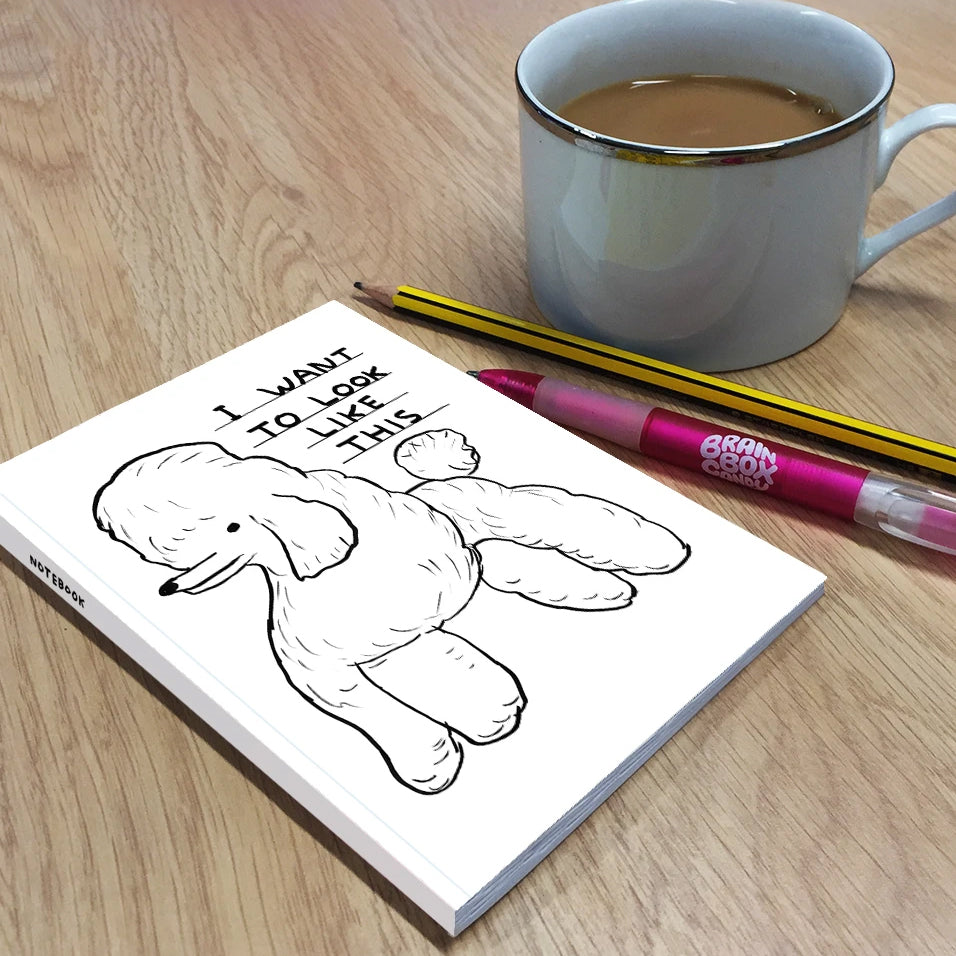 I want to look like this Notebook