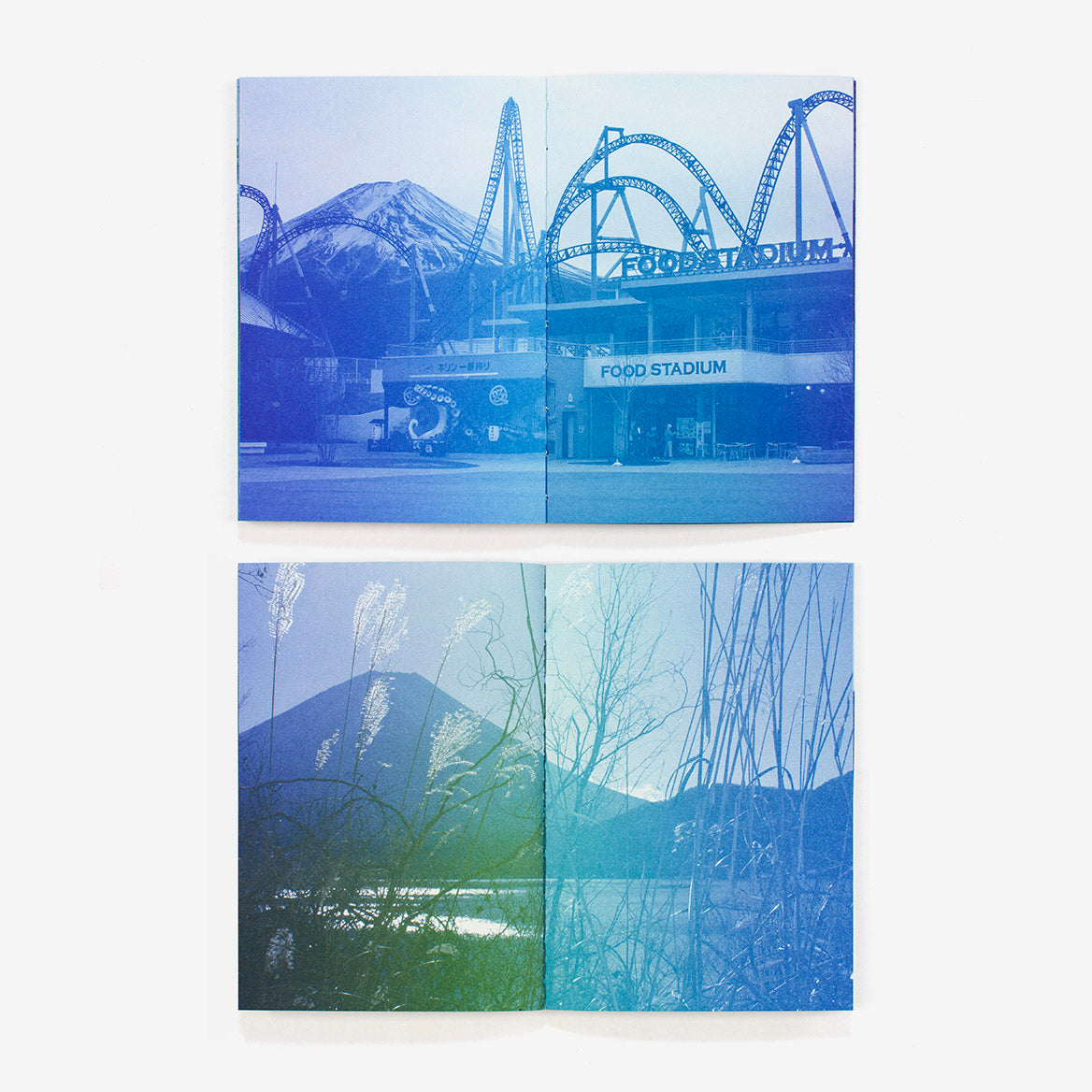 Fuji