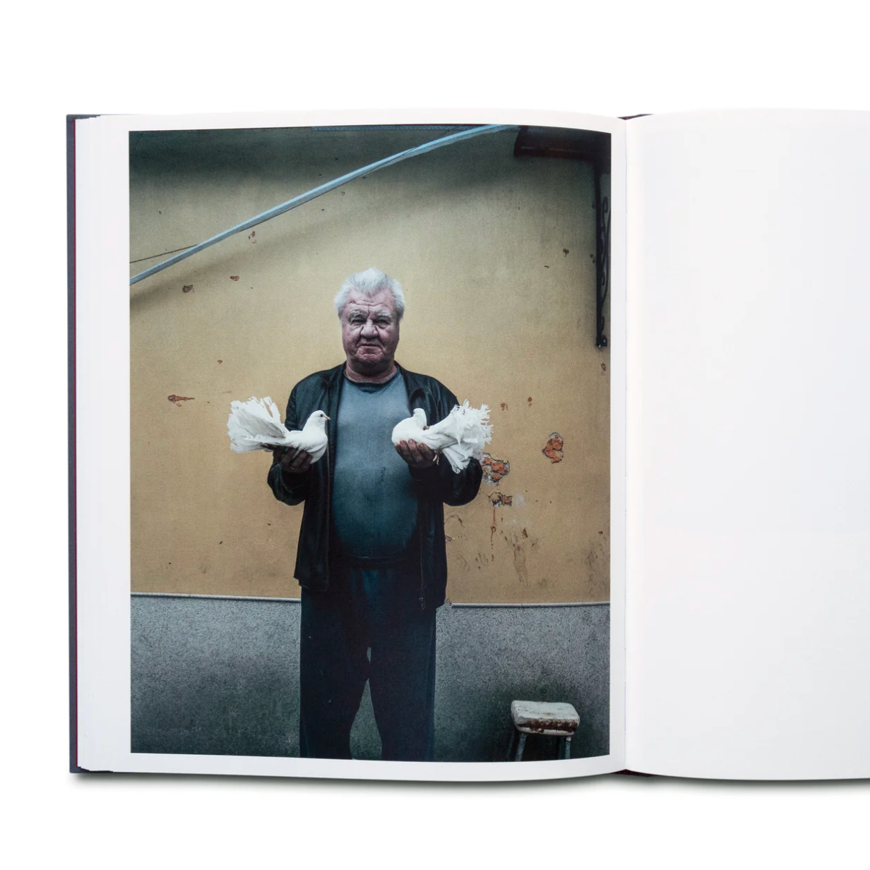 Lonely Are All the Bridges