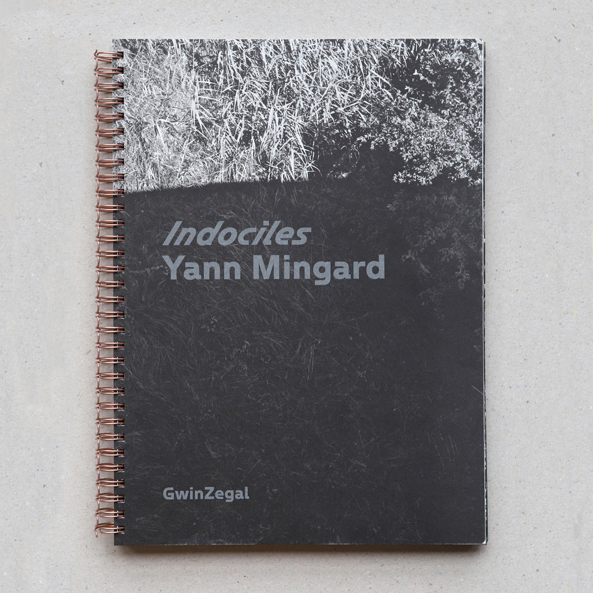 Yann Mingard Indociles /franCais