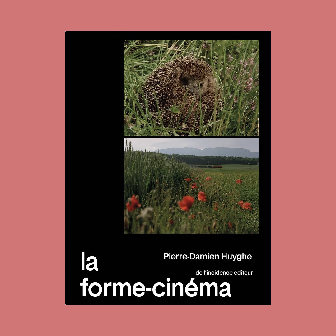 La forme-cinéma