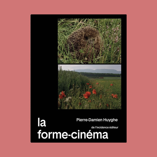 La forme-cinéma
