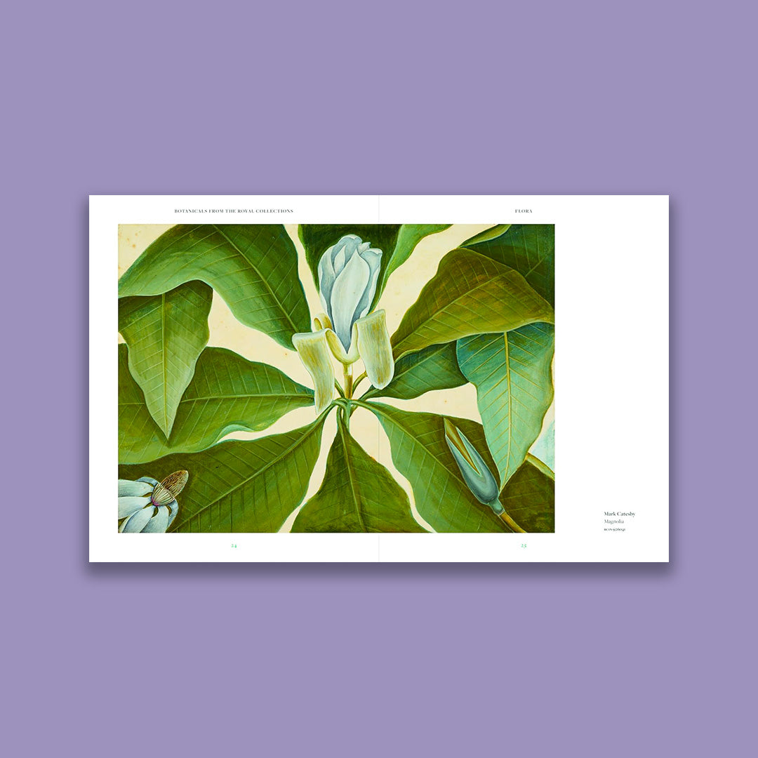 Botanicals: From the Royal Collection