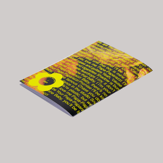 Celeb Zine (falling)