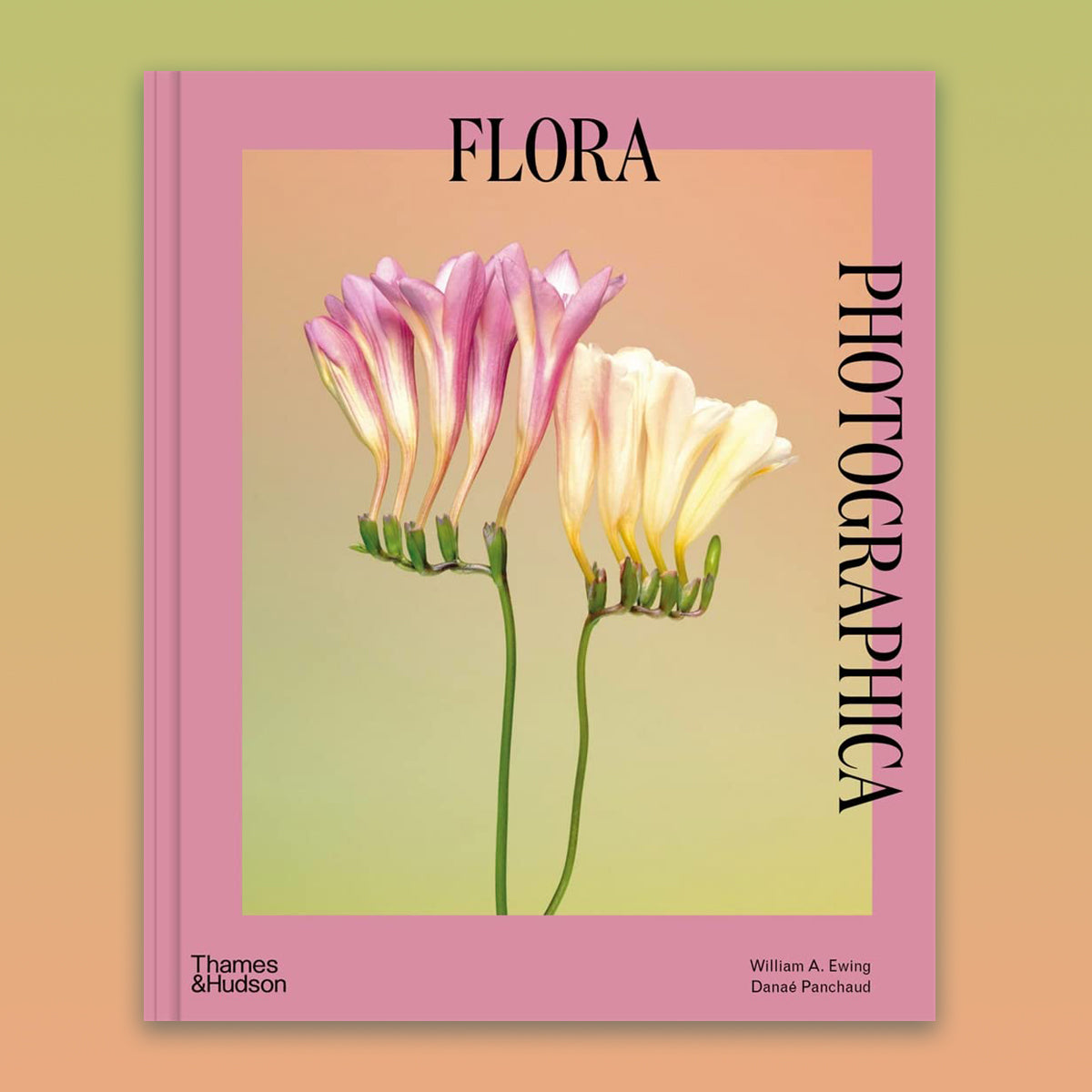 Flora Photographica (Paperback) /anglais