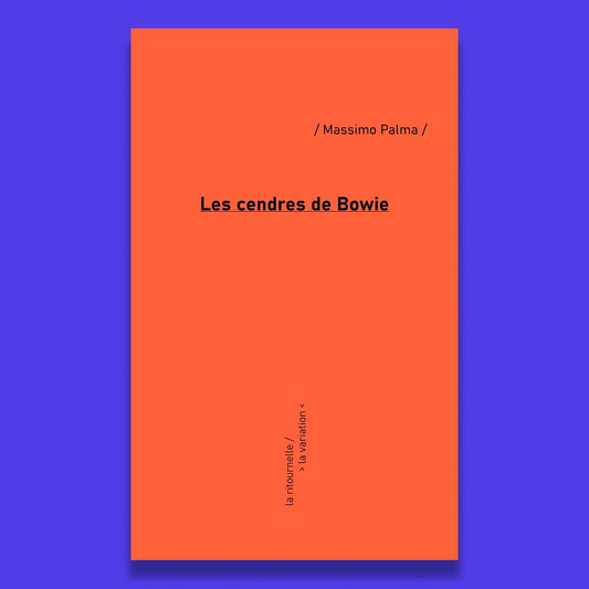 Les cendres de Bowie