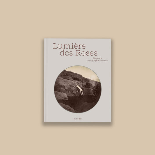 Lumière des roses