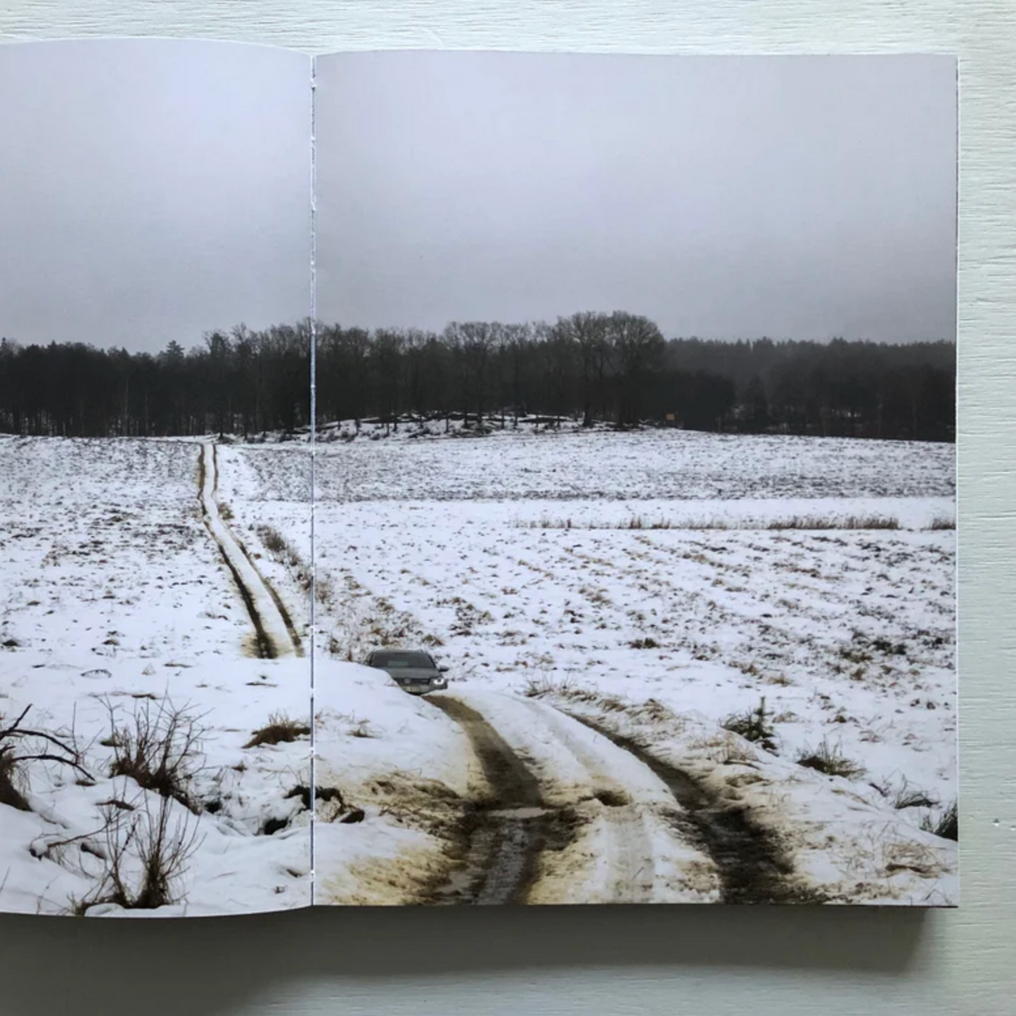 Joey Judita Abrait: Sanctuary
