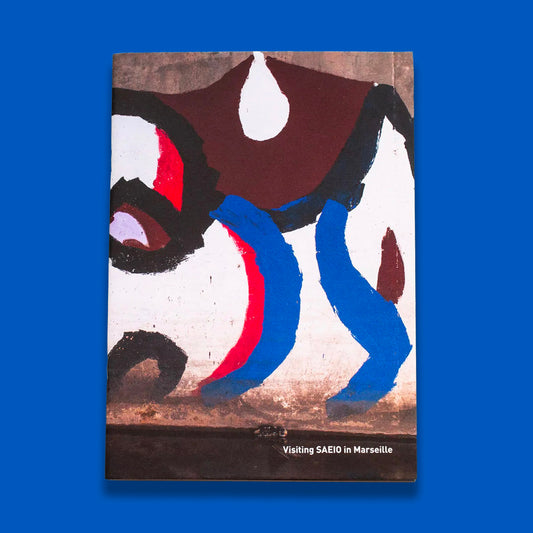 Visiting SAEIO in Marseille