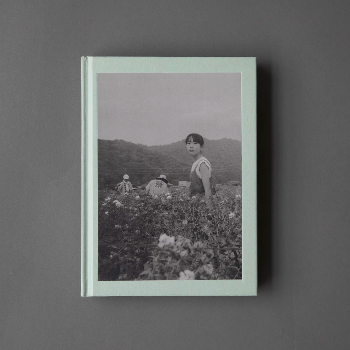 I Wonder Whose Skin This Crimson Flower Will Touch