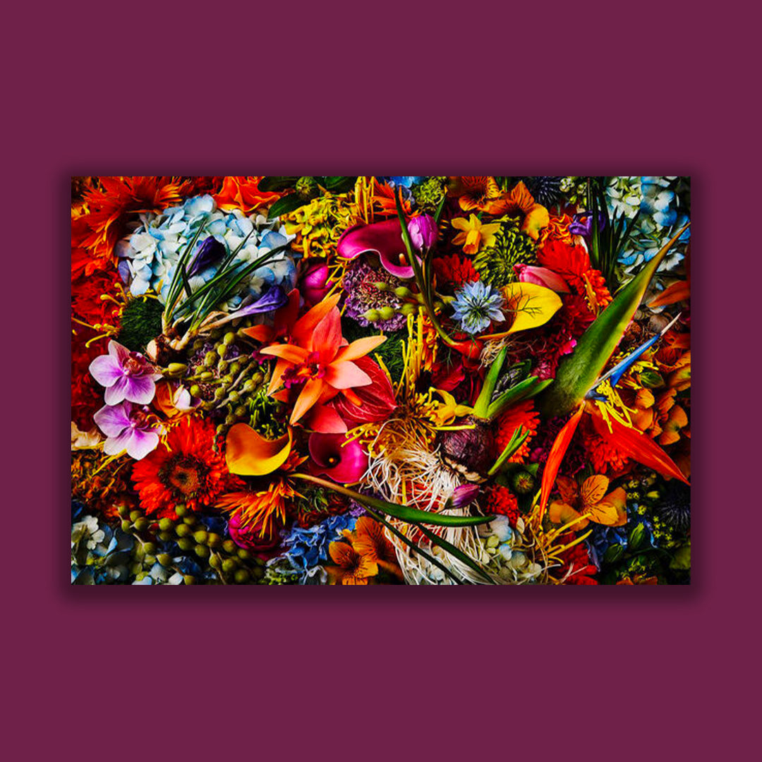 Encyclopedia of Flowers VI