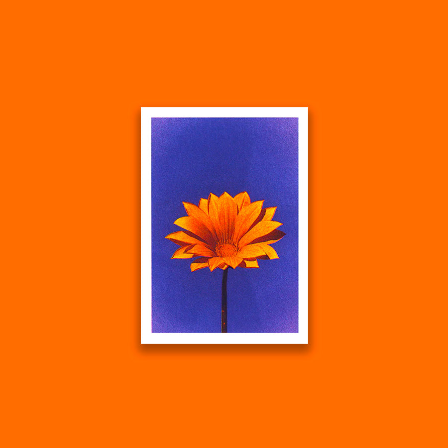 Flower C (A5)