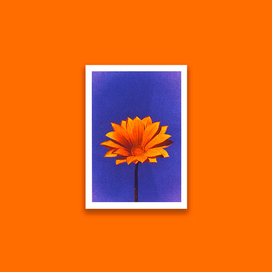 Flower C (A5)