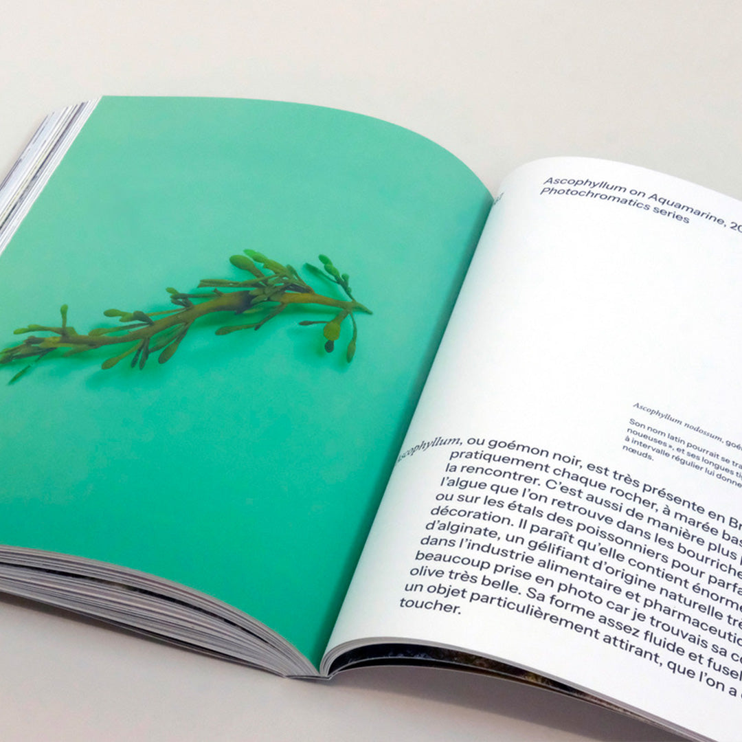 The Algae Paper