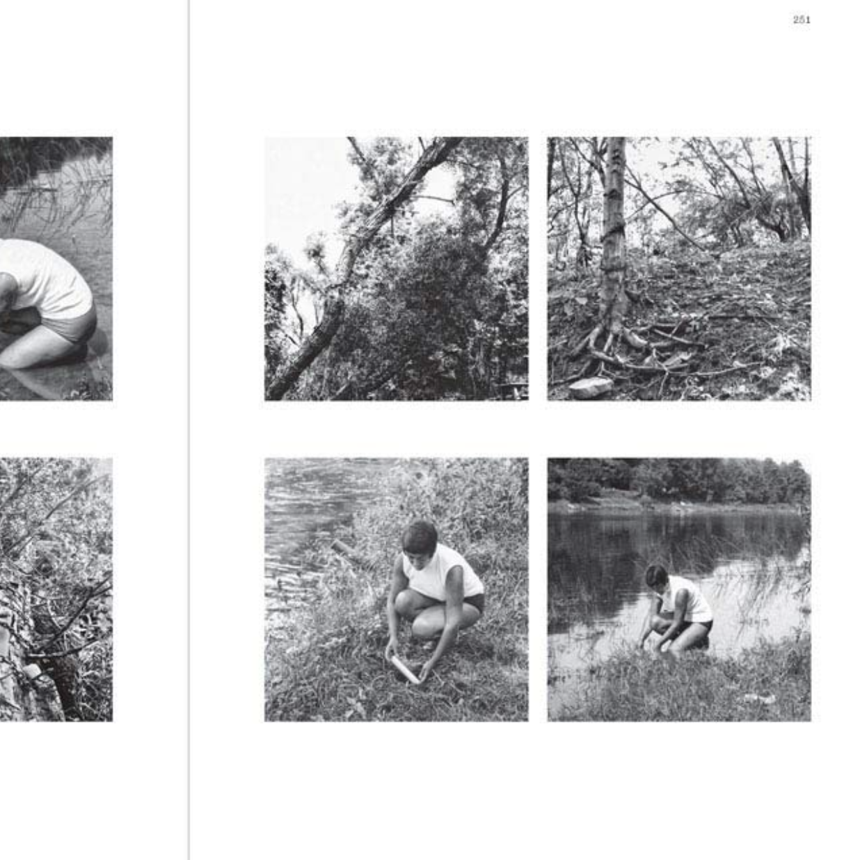 Agnes Denes Absolutes and Intermediates