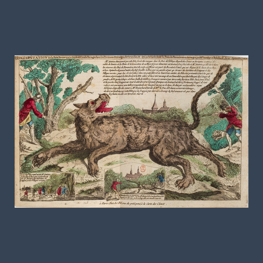 Animaux et humains : une histoire partagée