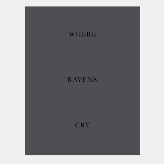 Jakob de Boer Where Ravens Cry