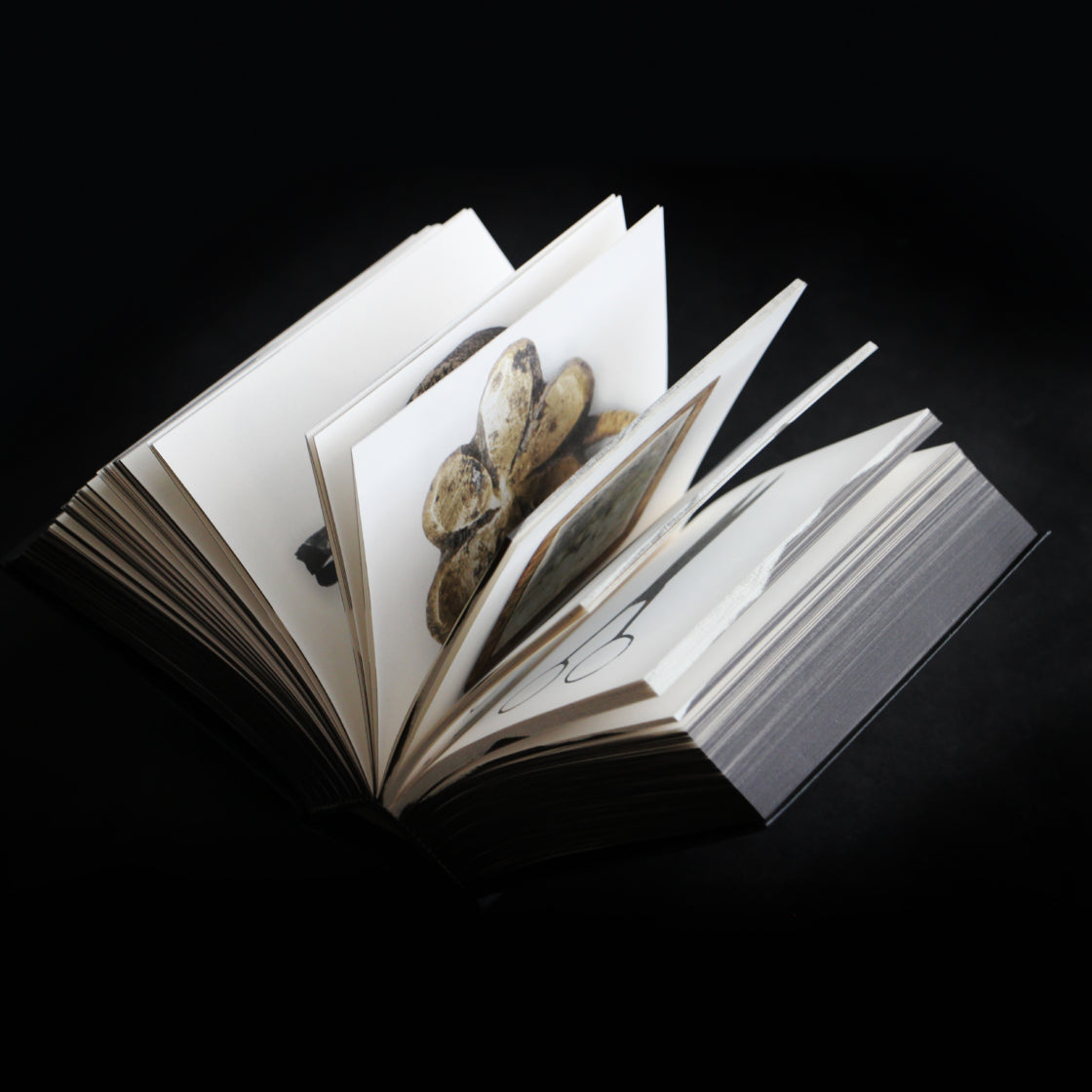 Amsterdam Onder/Under