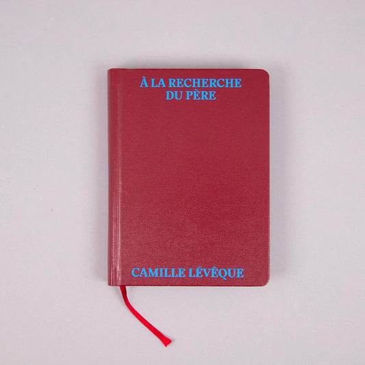 A la recherche du père