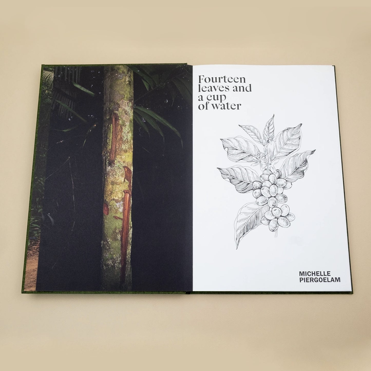 Fourteen Leaves and a Cup of Water