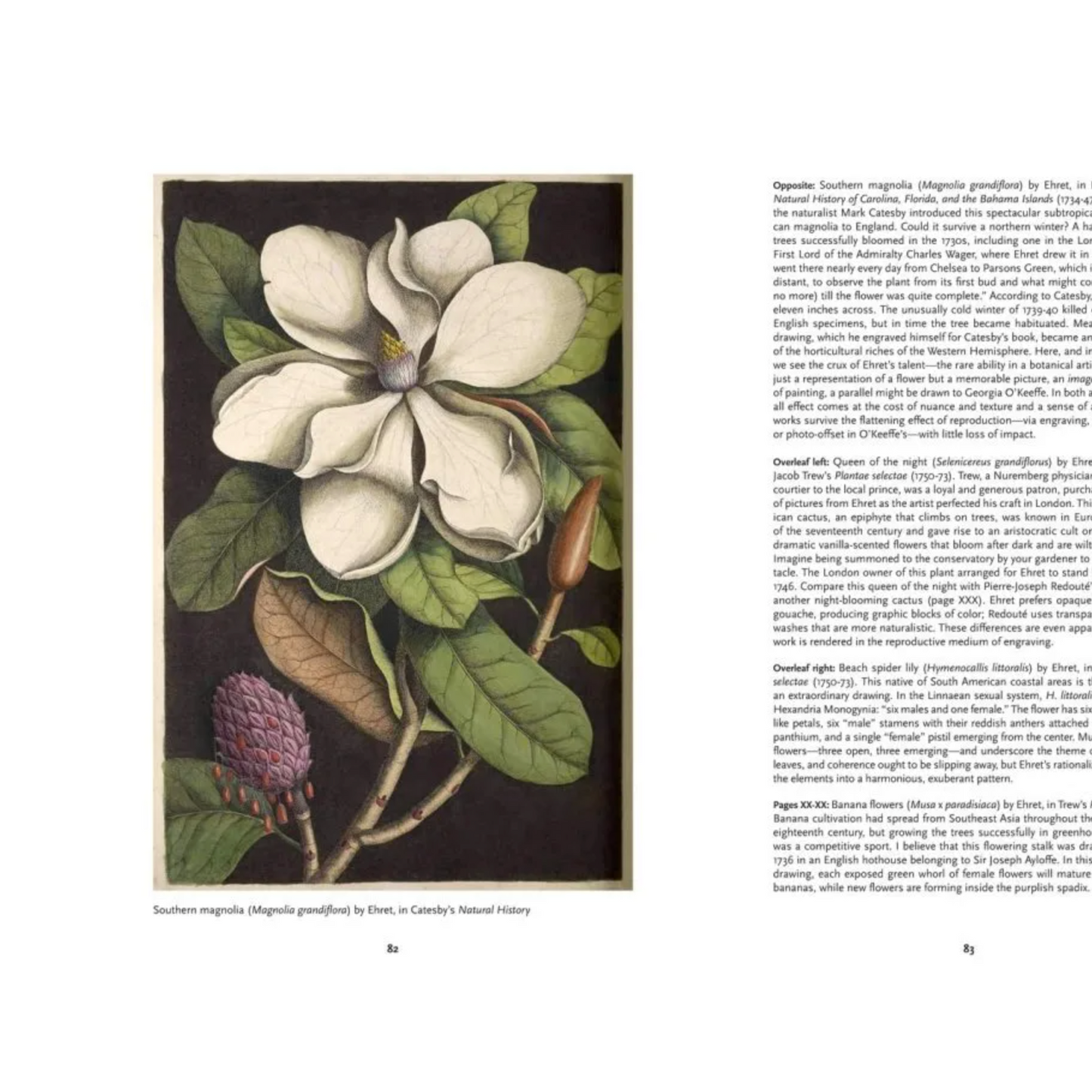 The Art of Biodiversity