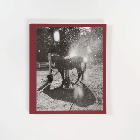 Calling the Bird Home