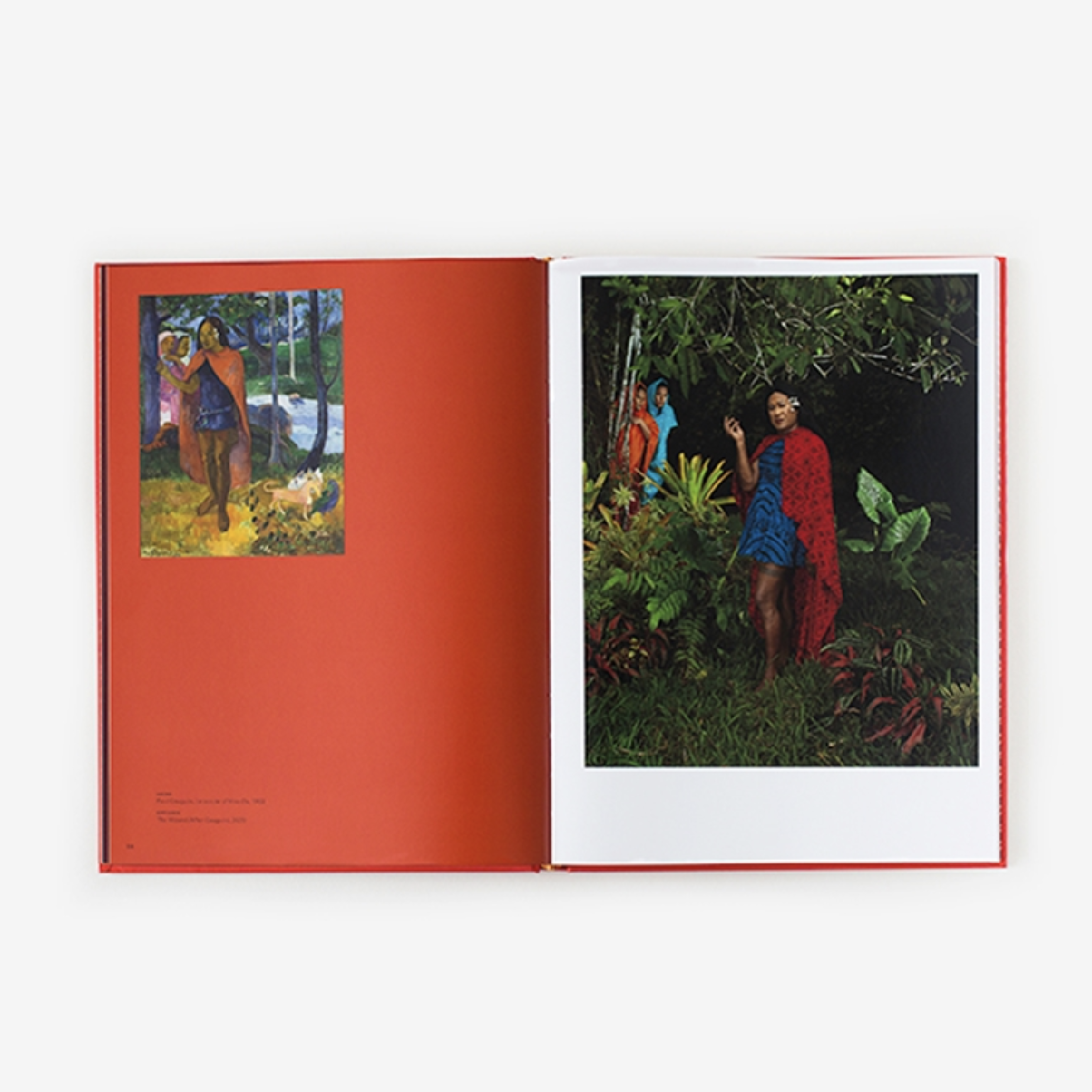 Paradise Camp by Yuki Kihara – librairie sans titre