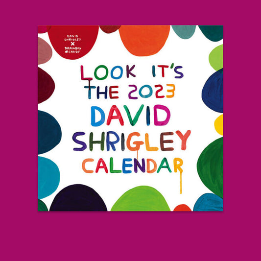 David shrigley calendar 2023