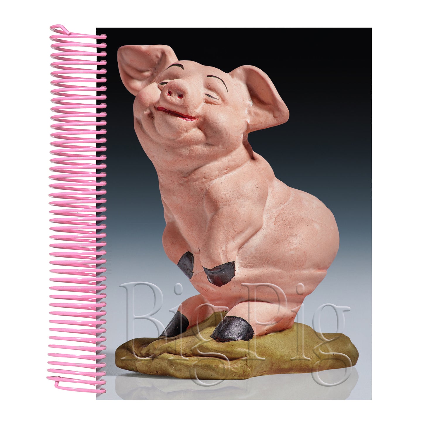 Big pig livre