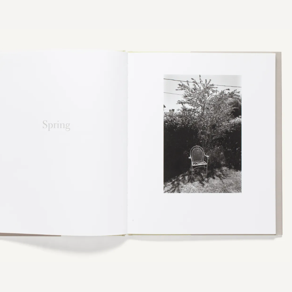 Robert Adams Standing Still