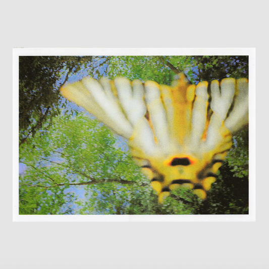 fresh summer breeze 4 [A2] Rubén Montesinos