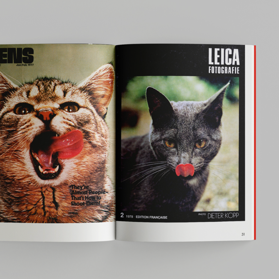 More than cat food