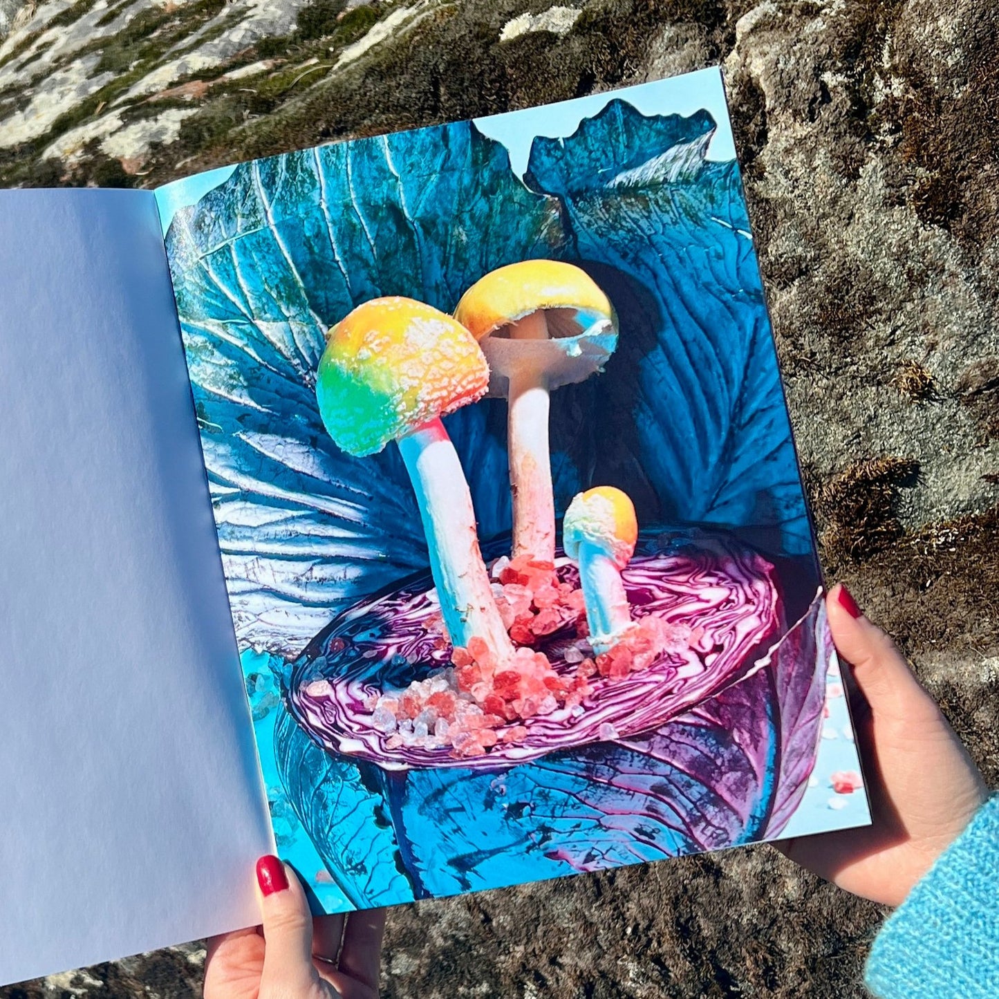 Mushrooms and Friends 3 (2nd Printing)