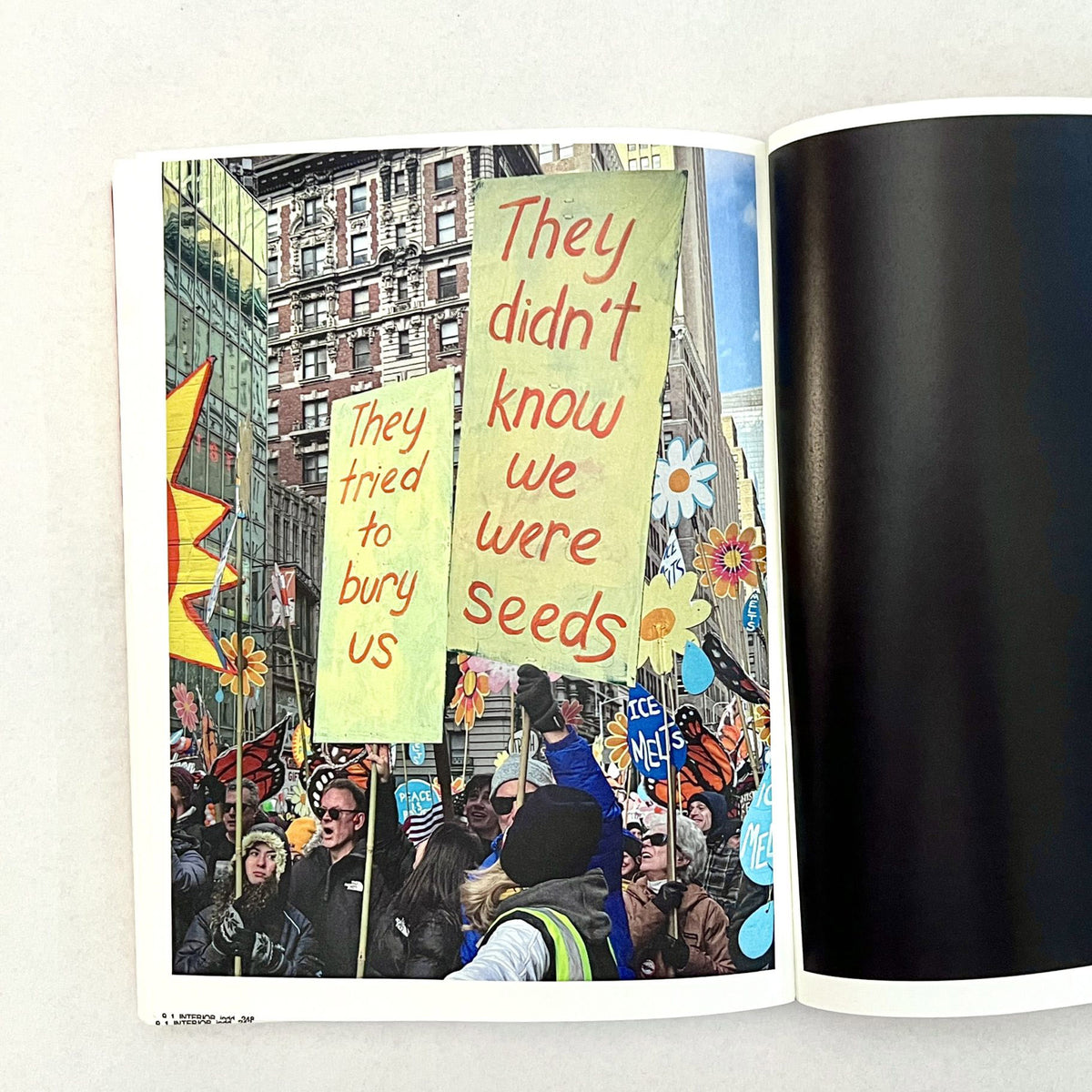 Susan Meiselas: No Kings