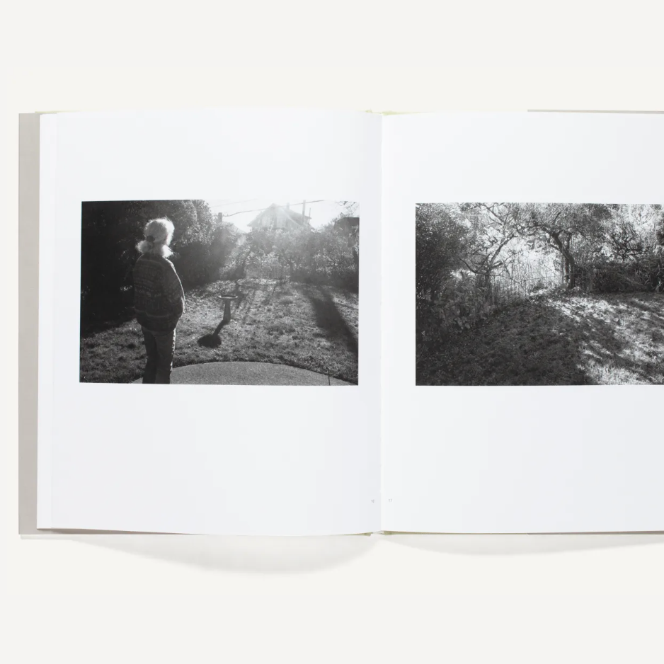 Robert Adams Standing Still