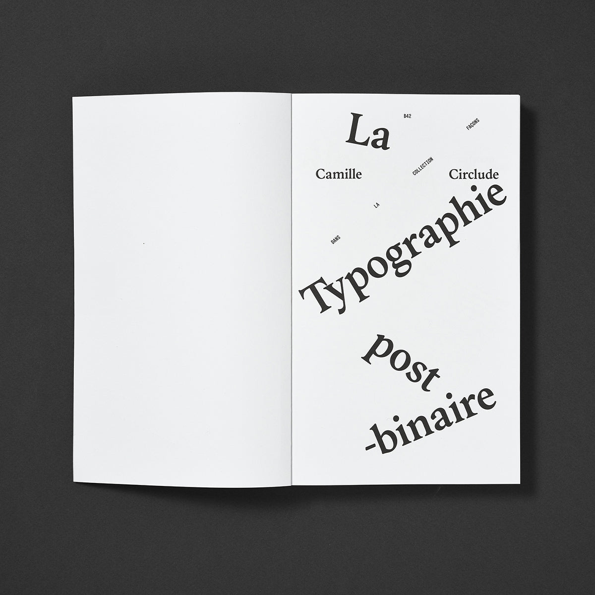 La typographie post-binaire