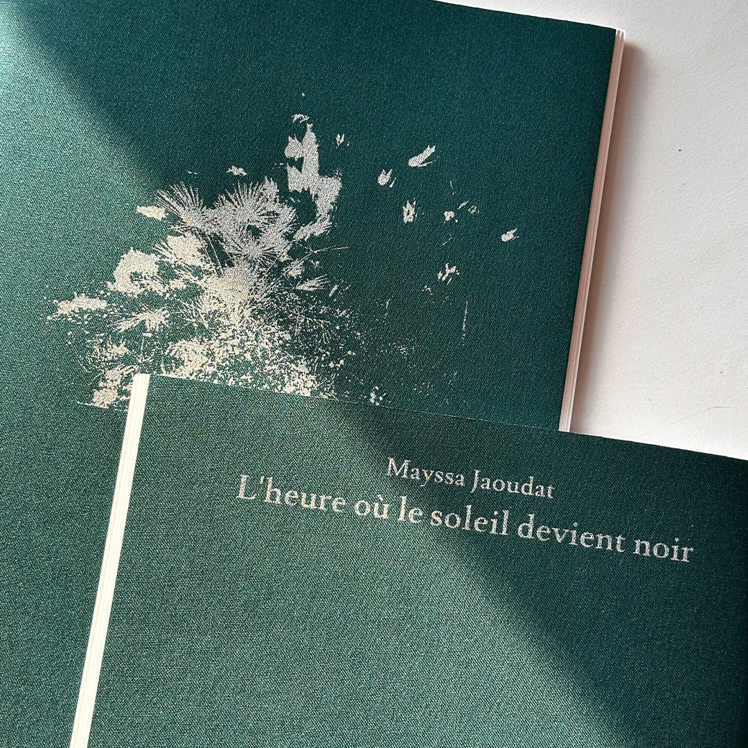 L'heure où le soleil devient noir